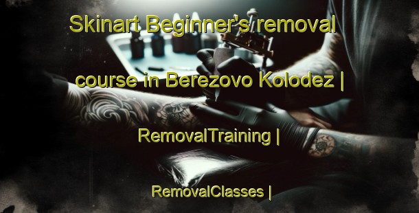 Skinart Beginner's removal course in Berezovo Kolodez | RemovalTraining | RemovalClasses | SkinartTraining-Russian Federation